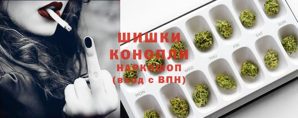 дживик Баксан