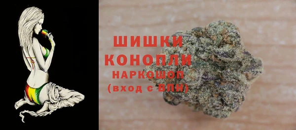 дживик Баксан