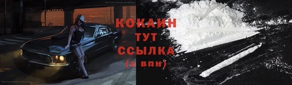 дживик Баксан