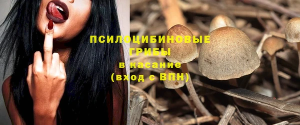 дживик Баксан