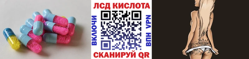 блэк спрут ССЫЛКА  Пошехонье  LSD-25 экстази кислота  купить закладку 