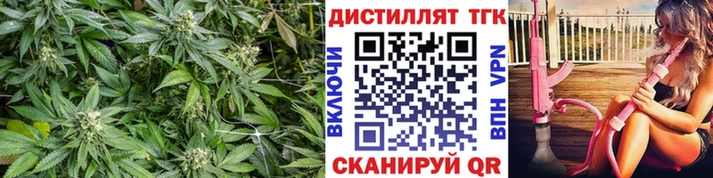 MEGA как войти  что такое   Пошехонье  Дистиллят ТГК Wax 