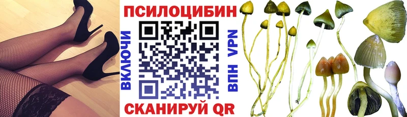 Псилоцибиновые грибы Psilocybe  где найти наркотики  Пошехонье 